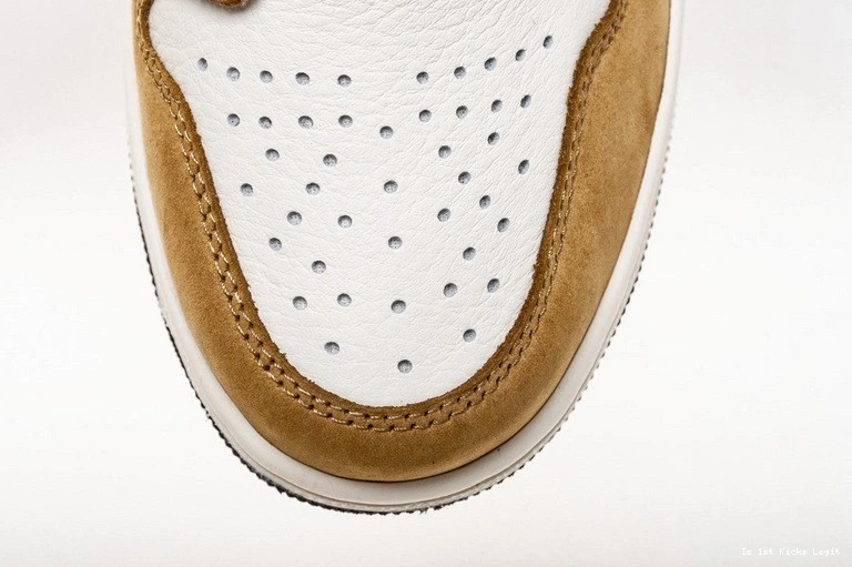 555088-700 of Rookie Year Jordan Air 1 the 0910